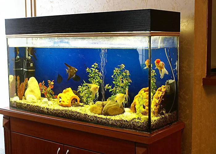 Viesnīca Irina Riga