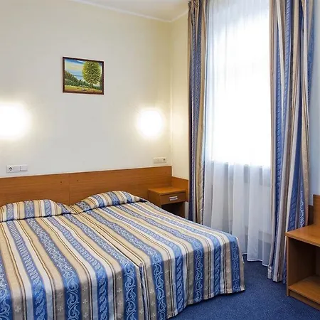 Hotel Irina 3*